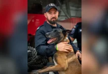 Кучето Дарк от ГДБОП ще охранява олимпийските игри в Париж