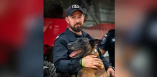 Кучето Дарк от ГДБОП ще охранява олимпийските игри в Париж