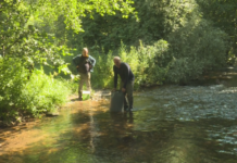 Зарибиха с 60 000 пъстърви реки в Югозападна България