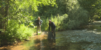 Зарибиха с 60 000 пъстърви реки в Югозападна България