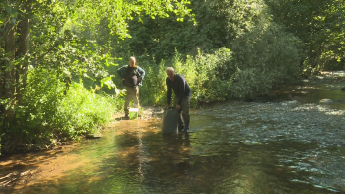 8732da80e48f3ca6ba9a857f36321130