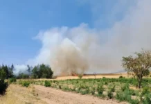 Четири пожара бушуват в Средна гора