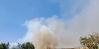 Четири пожара бушуват в Средна гора