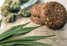 30% скок на употребата на дрога за 4 г., 36 нови видове са открити у нас през 2024 г.