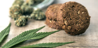 30% скок на употребата на дрога за 4 г., 36 нови видове са открити у нас през 2024 г.