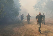 Още 217 военнослужещи се включват в борбата с пожарите (СНИМКИ)