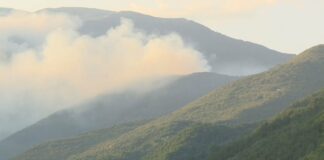 Заграждат нови 1200 дка с просека в граничната планина Славянка заради продължаващата огнена стихия