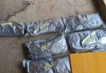 Марихуана за над половин милион лева скрита в кучешка колиба край Русе