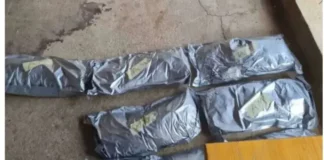 Марихуана за над половин милион лева скрита в кучешка колиба край Русе