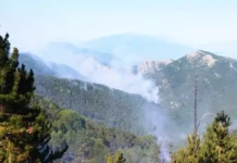 30-40 метра е навлязъл пожарът от Гърция на българска територия