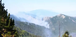 30-40 метра е навлязъл пожарът от Гърция на българска територия