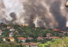 Пожарът край Свищов е потушен, но има пострадал доброволец