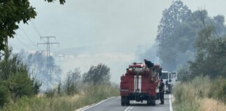 Пожарът в Пловдивско се разраства, обявяват бедствено положение в община Карлово