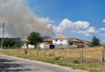 Огнената стихия изпепели 20 000 декара иглолистни гори в Хисаря и Калояново