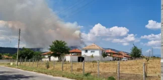 Огнената стихия изпепели 20 000 декара иглолистни гори в Хисаря и Калояново