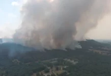 Пожарът в Средна гора е напълно потушен