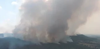 Пожарът в Средна гора е напълно потушен