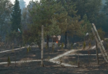 15 къщи изгоряха в пловдивското село Отец Паисиево