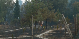 15 къщи изгоряха в пловдивското село Отец Паисиево