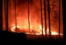 Четири хеликоптера и два самолета гасят пожара на българо-гръцката граница