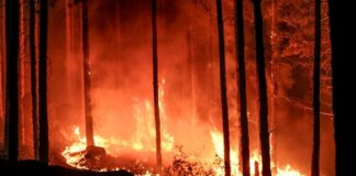 Четири хеликоптера и два самолета гасят пожара на българо-гръцката граница