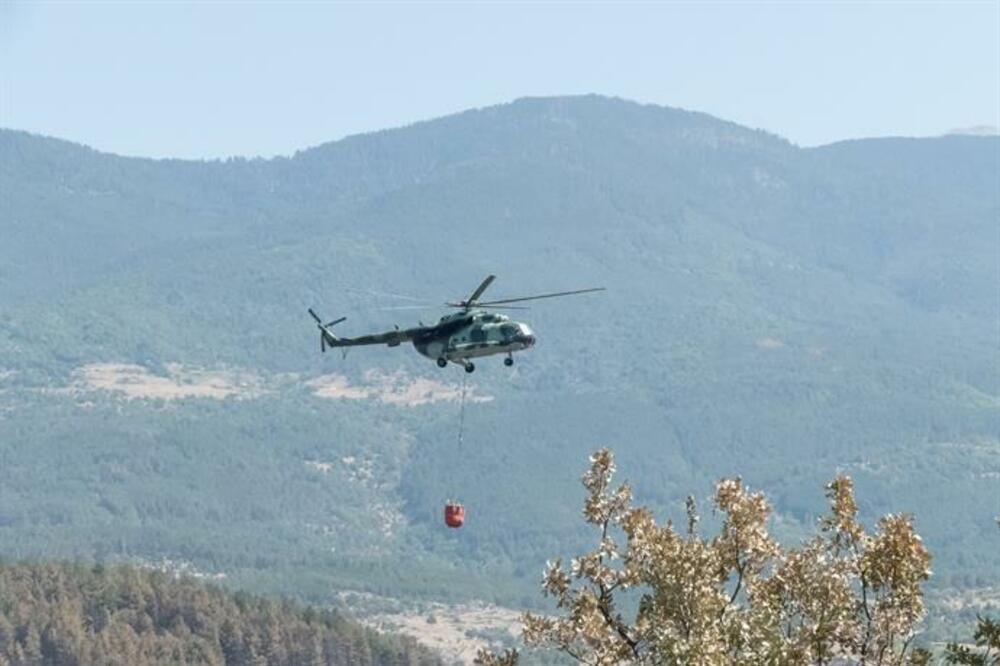 През летните месеци на настоящата година ще могат да бъдат