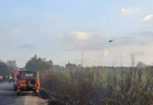 Огънят изпепели 15 къщи в ямболското село Крайново