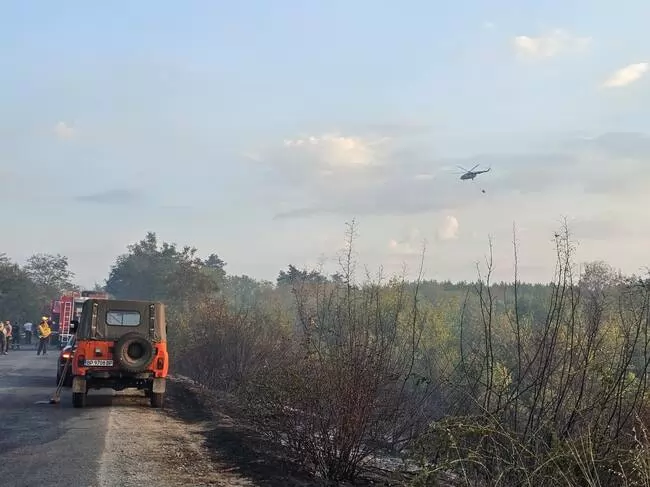 Огромният пожар който опустоши село Воден в Ямболско снощи се