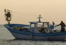 Рекордно високите температури прогониха рибата навътре в Черно море