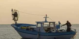 Рекордно високите температури прогониха рибата навътре в Черно море