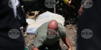 Прибраха крокодила от Ботунец в столичния зоопарк