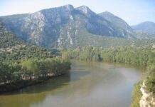 Кола падна в Места, двама са пострадали