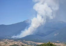 Пожар бушува опасно близо до югозападното село Сенокос