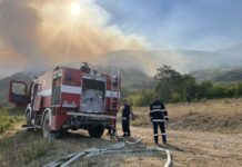 Нов пожар навлезе в България от Гърция