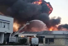 Пожарът край пловдивското село Царацово е потушен