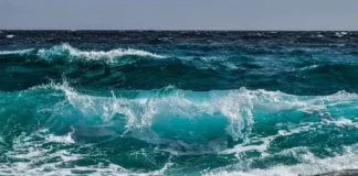 Софиянец се удави край Синеморец