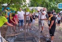 Сагата с крокодила продължава, десетки граждани, чиновници и полицаи са обсадили гьола, чудят се какво да правят с Кроко