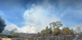 Голям пожар избухна край Самоков, заплашва село Алино