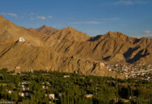 Наша съдийка загина нелепо в индийските Хималаи