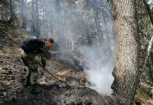 Засега няма опасност пожарът в Северна Македония да навлезе у нас, огънят в Славянка снощи се е разпалил и е преминал границата