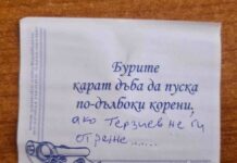 Диана Дамянова към управляващите в София: Ами, не ставате…