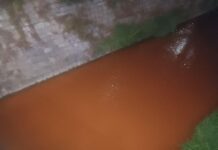 Прокуратурата в Перник разследва замърсяването на река Струма