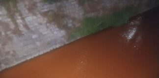 Кметът на Перник: Струма е отровена