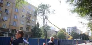 Хекимян: Терзиев еднолично е дал разрешение за отсичането на дърветата на „Опълченска“