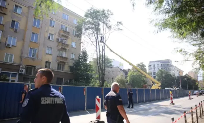 articles__2e918acd0d192419b4456ab0ed51fcd8 (1)