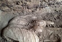 Откриха нова статуя в античното селище Хераклея Синтика (ВИДЕО)