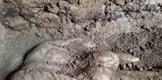 Откриха нова статуя в античното селище Хераклея Синтика (ВИДЕО)