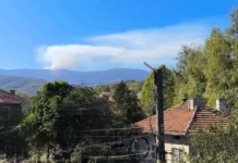 Пожар гори близо до връх Ком