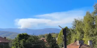 Пожар гори близо до връх Ком