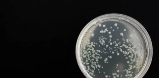 В Бургас спасиха жена от бактерия, която убива за часове